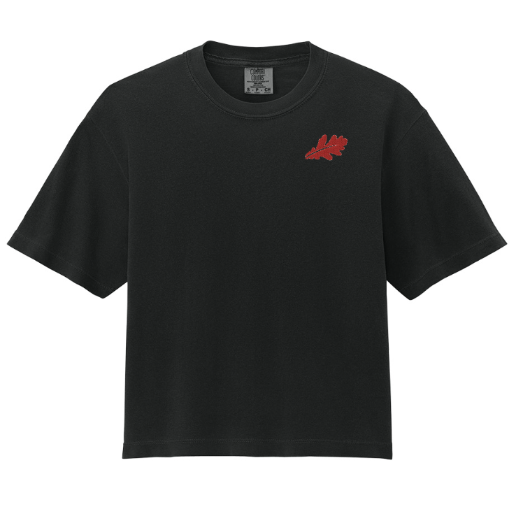 3023CL - Comfort Colors Women’s Heavyweight Boxy Tee