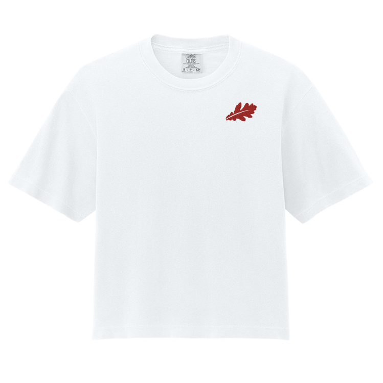 3023CL - Comfort Colors Women’s Heavyweight Boxy Tee